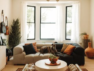 Living Room Layouts: How to Arrange Furniture?
